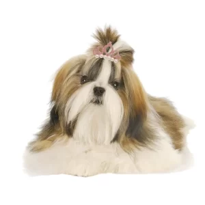 Pearl Princess Pet Crown