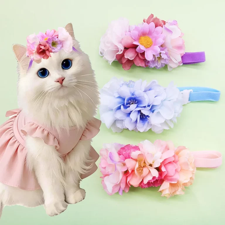 Pet Crowns